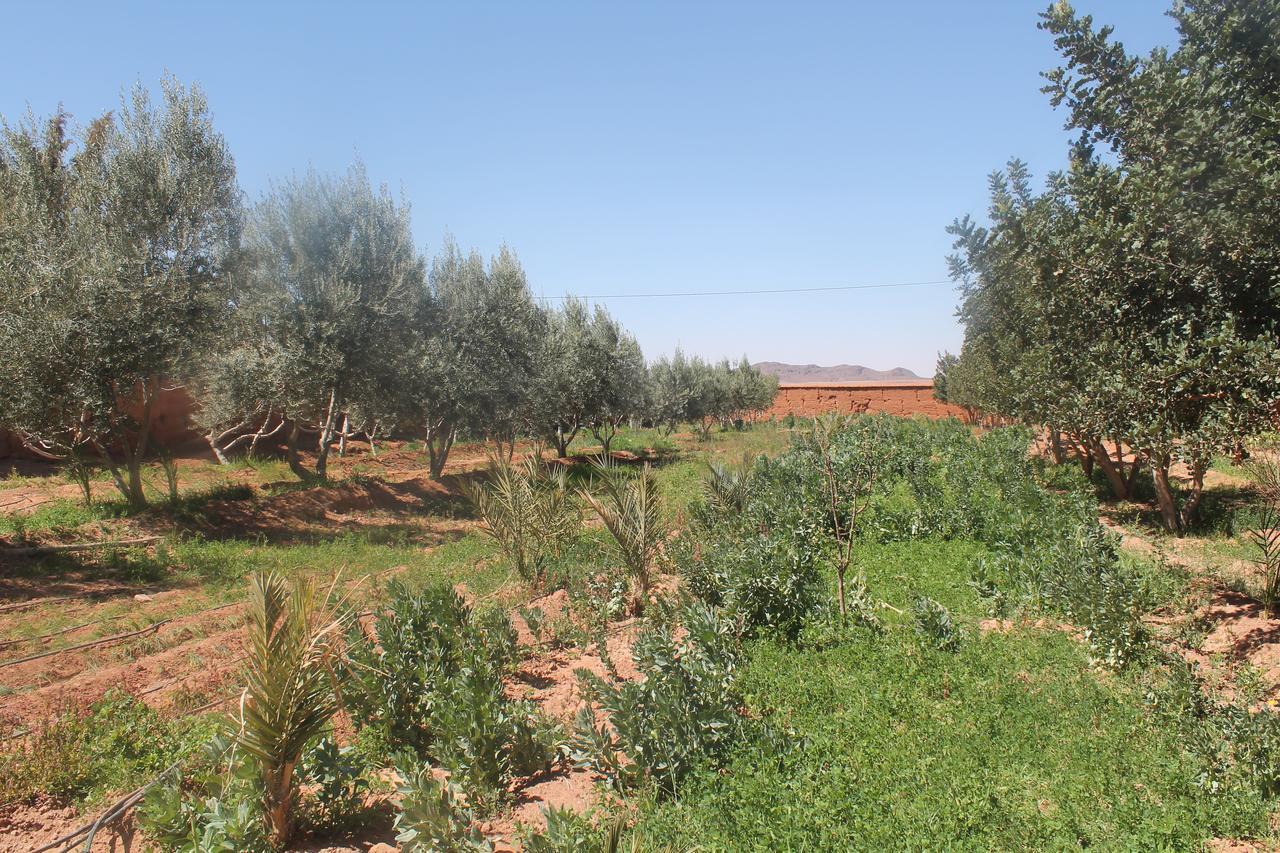 Dar Alfourssane Ferme D'Hote Hotel Ouarzazate Exterior photo